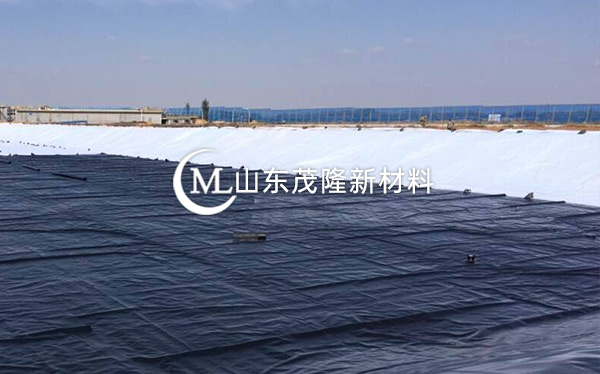 《衡水主城區(qū)生態(tài)修復(fù)工程》土工布、復(fù)合土工布施工