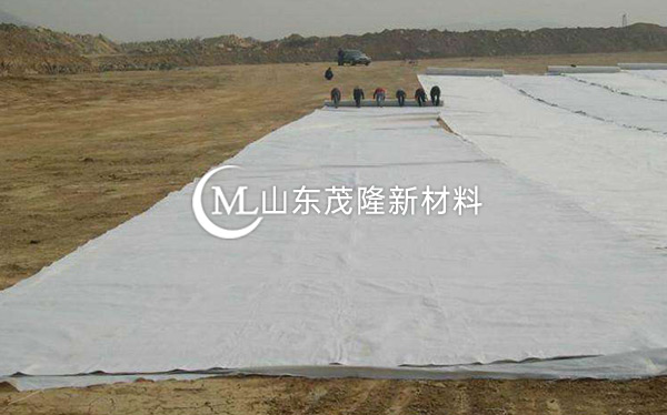 《天府機(jī)場(chǎng)TJ6標(biāo)》土工格柵、土工布、排水板施工