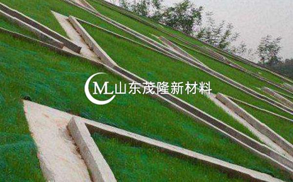 《都勻至安順公路項(xiàng)目》土工格柵、三維植被網(wǎng)施工