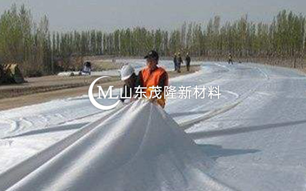 《河北省邯鄲園博園》土工布、排水板施工