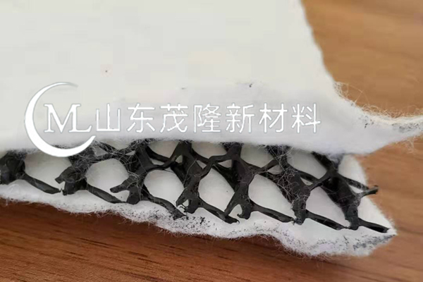 土工復合排水網(wǎng)/三維復合土工排水網(wǎng)  第3張