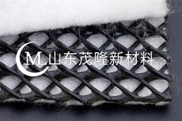 土工復合排水網(wǎng)/三維復合土工排水網(wǎng)  第5張
