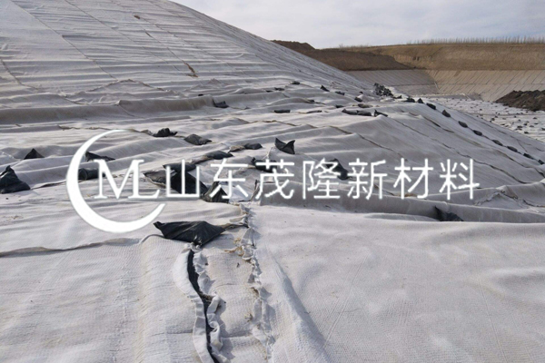 《煤炭分質清潔高效轉化示范項目固廢處理廠項目》三維復合排水網(wǎng)施工